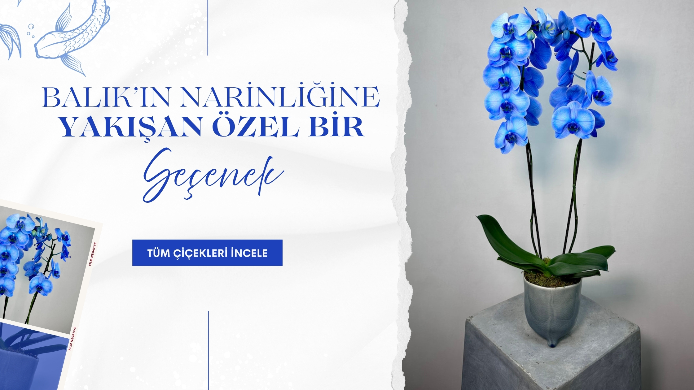 arelia-burclara-ozel-balik.jpg
