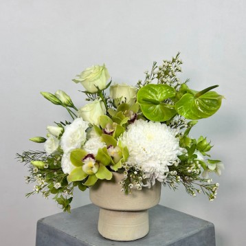 Midori Beyaz Aranjman