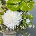 Midori Beyaz Aranjman