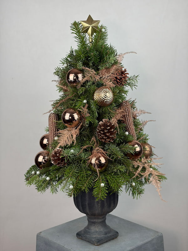 Pine Yılbaşı Ağacı